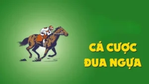 Tìm Hiểu Đua Ngựa ABC8: Bí Quyết Thắng Lớn