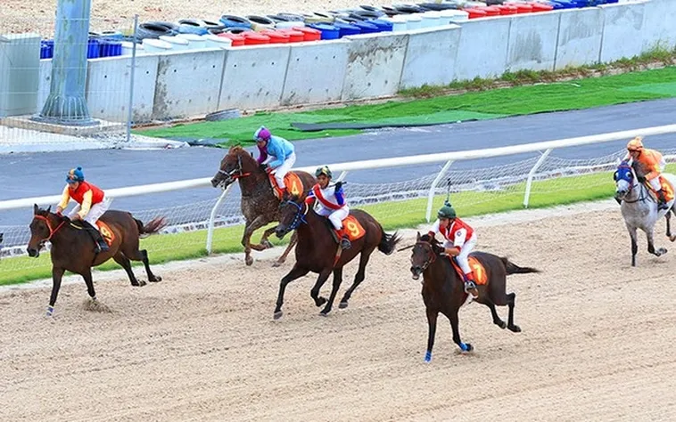 Cập Nhật Mới Nhất: Tìm Hiểu Cá Cược Đua Ngựa Bet88 Năm 2025
