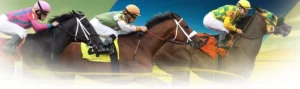 Đua Ngựa Bet88: Bí Kíp Chinh Phục Đỉnh Cao Cá Cược Online